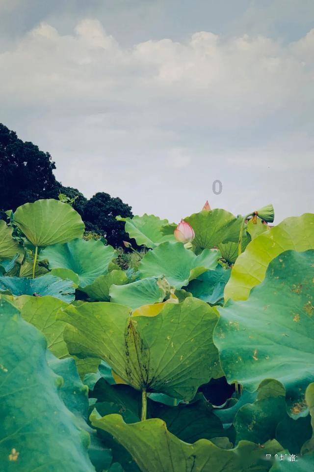 彩虹轨迹